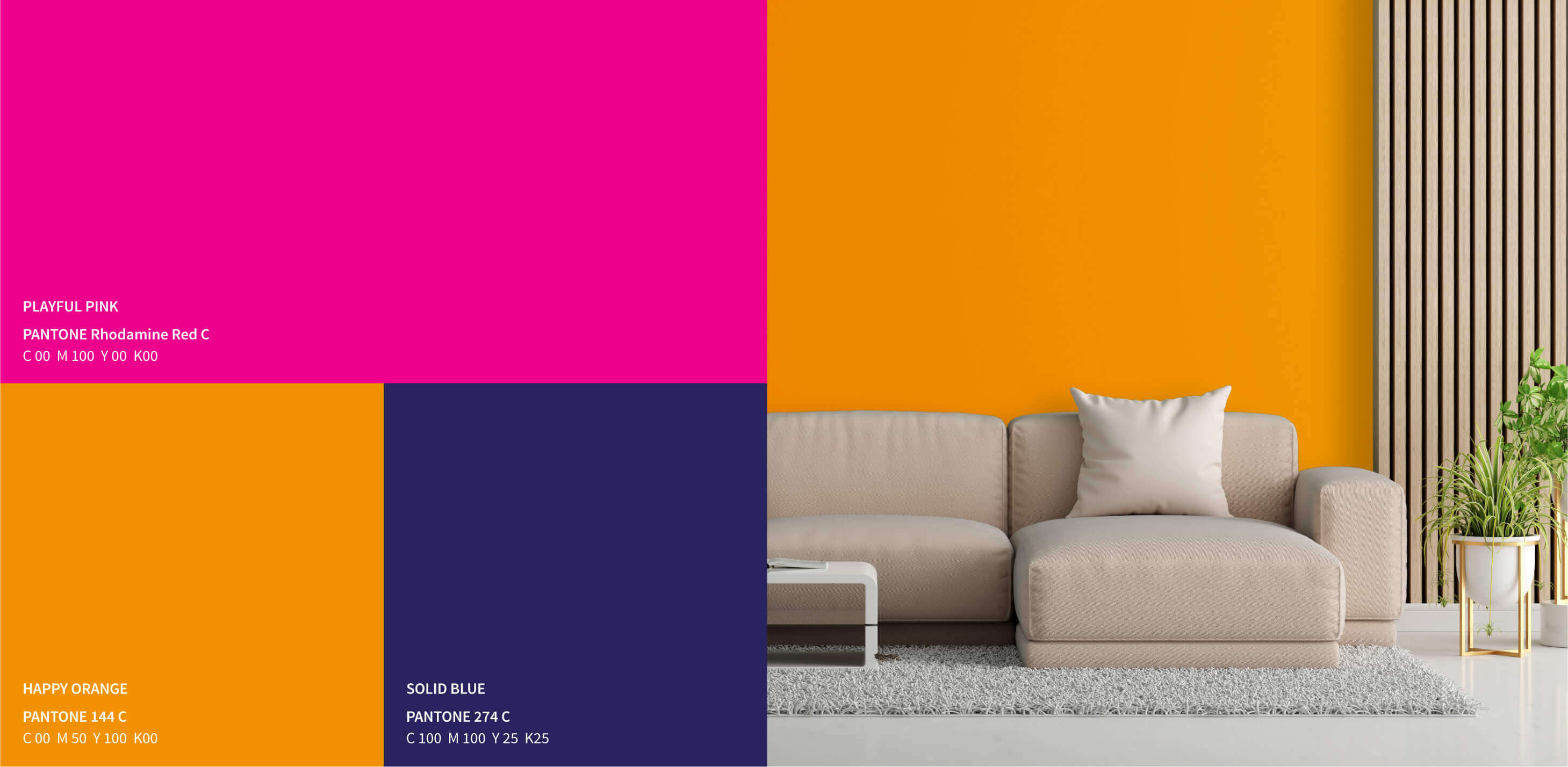 Image Colour selection palette for the brand